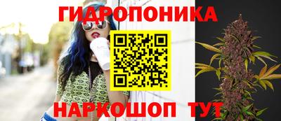 прущая мука Кингисепп