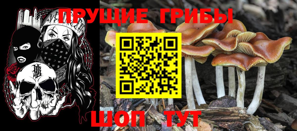 Донской  Галлюциногенные грибы MAGIC MUSHROOMS  Псилоцибиновые грибы ЛСД  Вход с VPN 